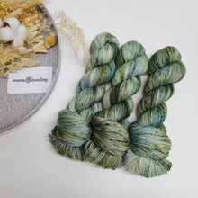 Load image into Gallery viewer, Lucky Lass Plush Fingering