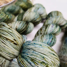 Load image into Gallery viewer, Lucky Lass Plush Fingering