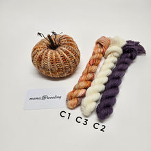 Load image into Gallery viewer, Gnome MKAL 18 Kit! Gnettle OR Gnumpkin