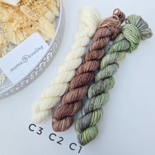 Load image into Gallery viewer, Gnome MKAL Beary Cosy - One of Everything!
