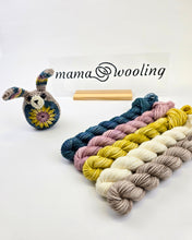 Load image into Gallery viewer, Crochet Bunny Mini Skein Set - Plush DK
